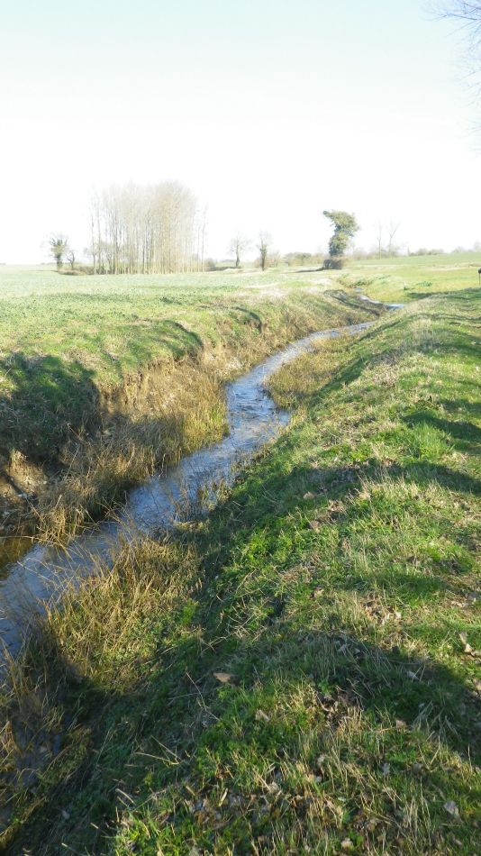2018-03-21 16 St Margaret and St Cross.jpg