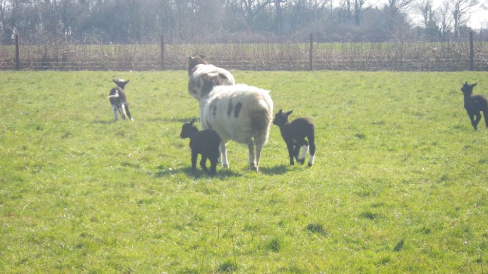 2018-03-21 22 St Margaret and St Cross.jpg