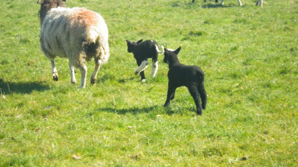 2018-03-21 24 St Margaret and St Cross.jpg