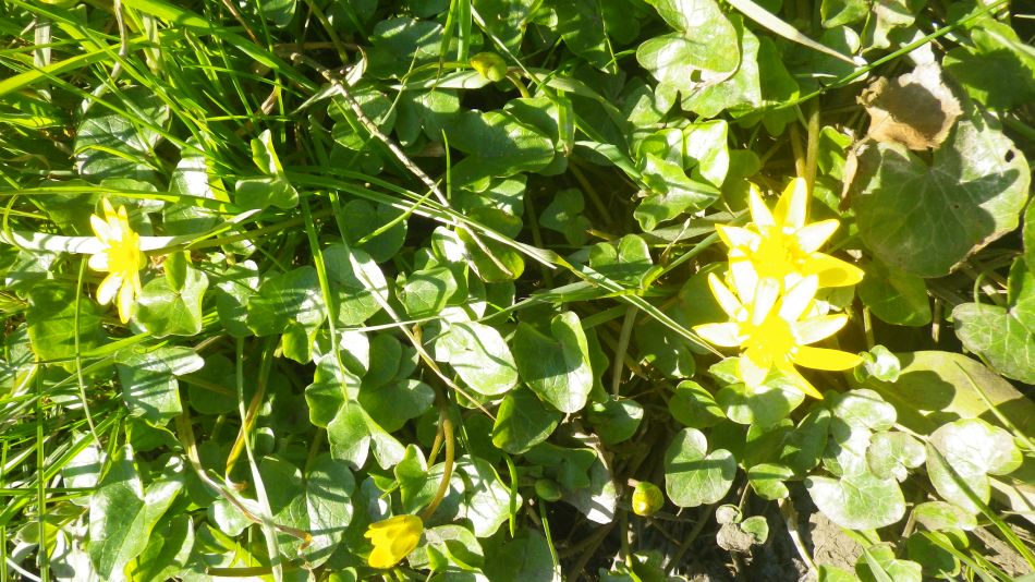 2018-03-21 26 St Margaret and St Cross.jpg