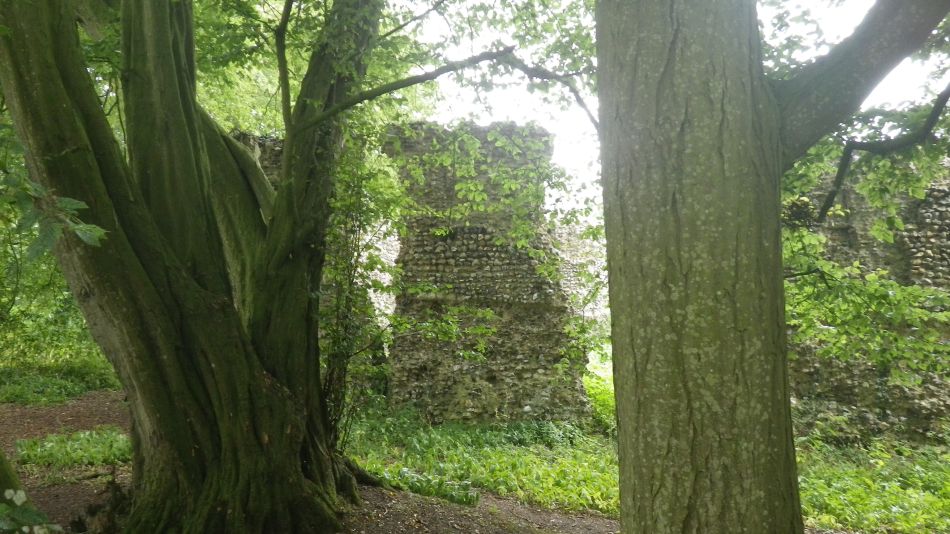 2019-07-18 03 Waveney Way 10 - Saint Margaret and James.jpg