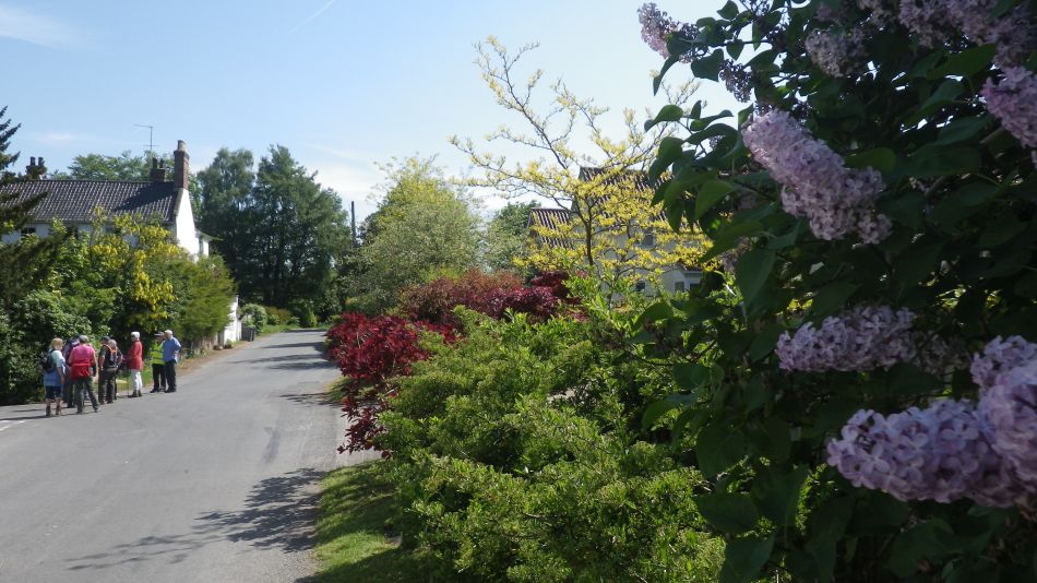 2018-05-15 05 Syleham B St Eds 6.jpg