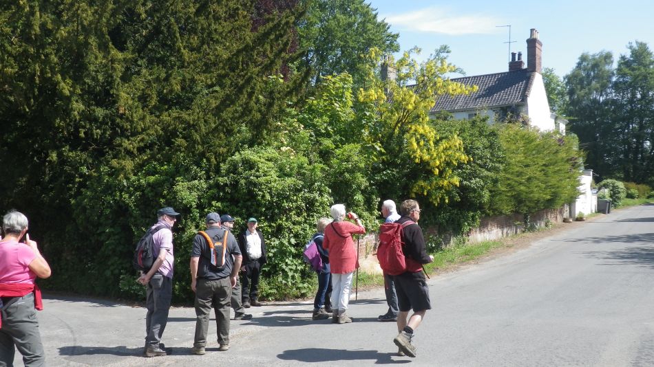 2018-05-15 06 Syleham B St Eds 6.jpg