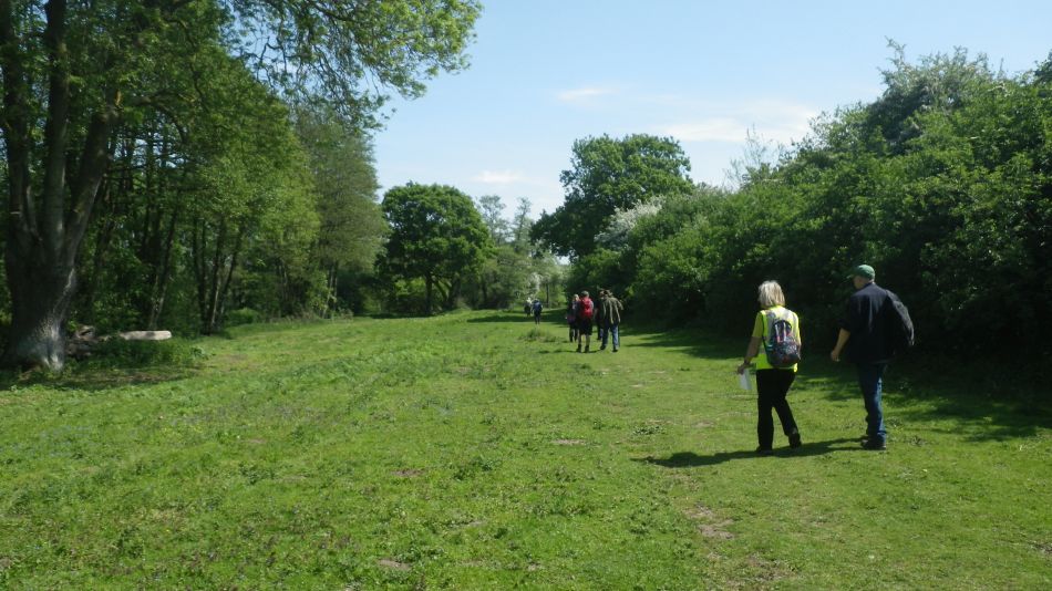 2018-05-15 10 Syleham B St Eds 6.jpg