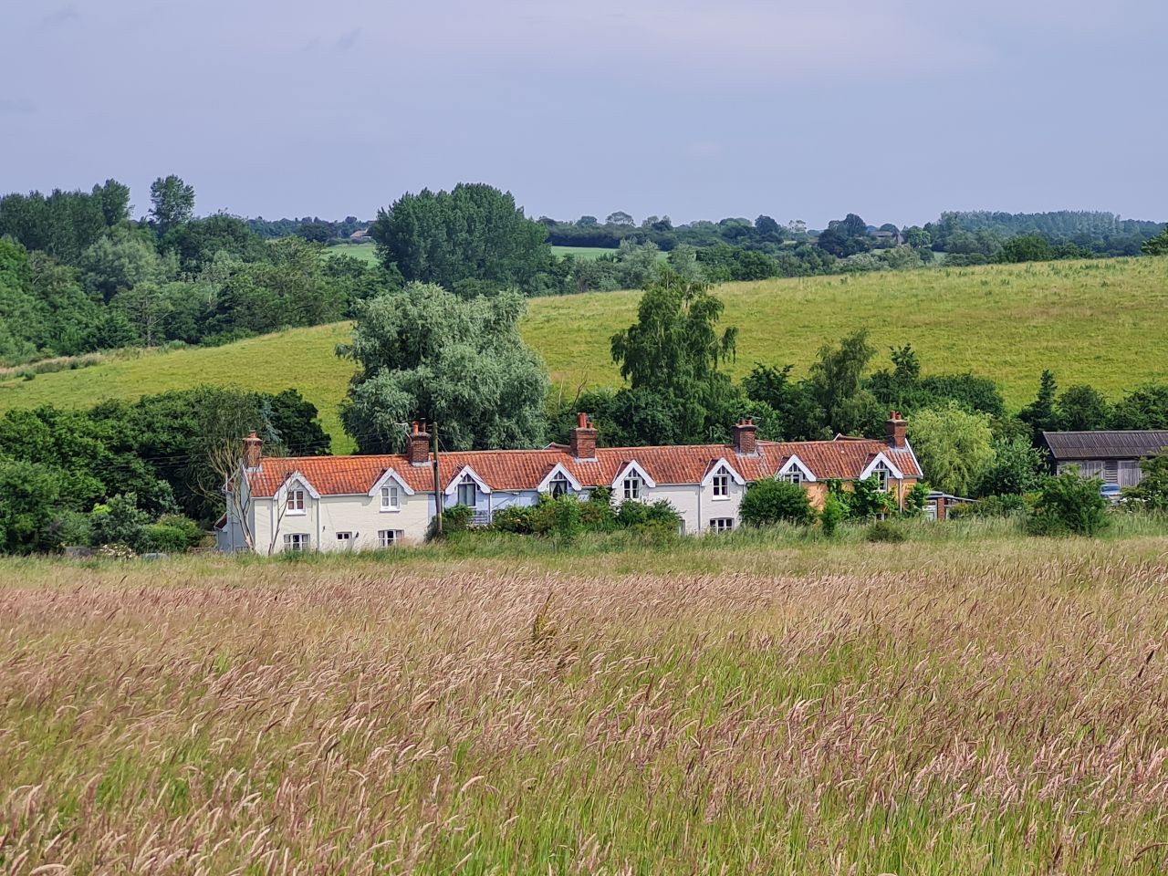 2024-06-27 10 Syleham.jpg