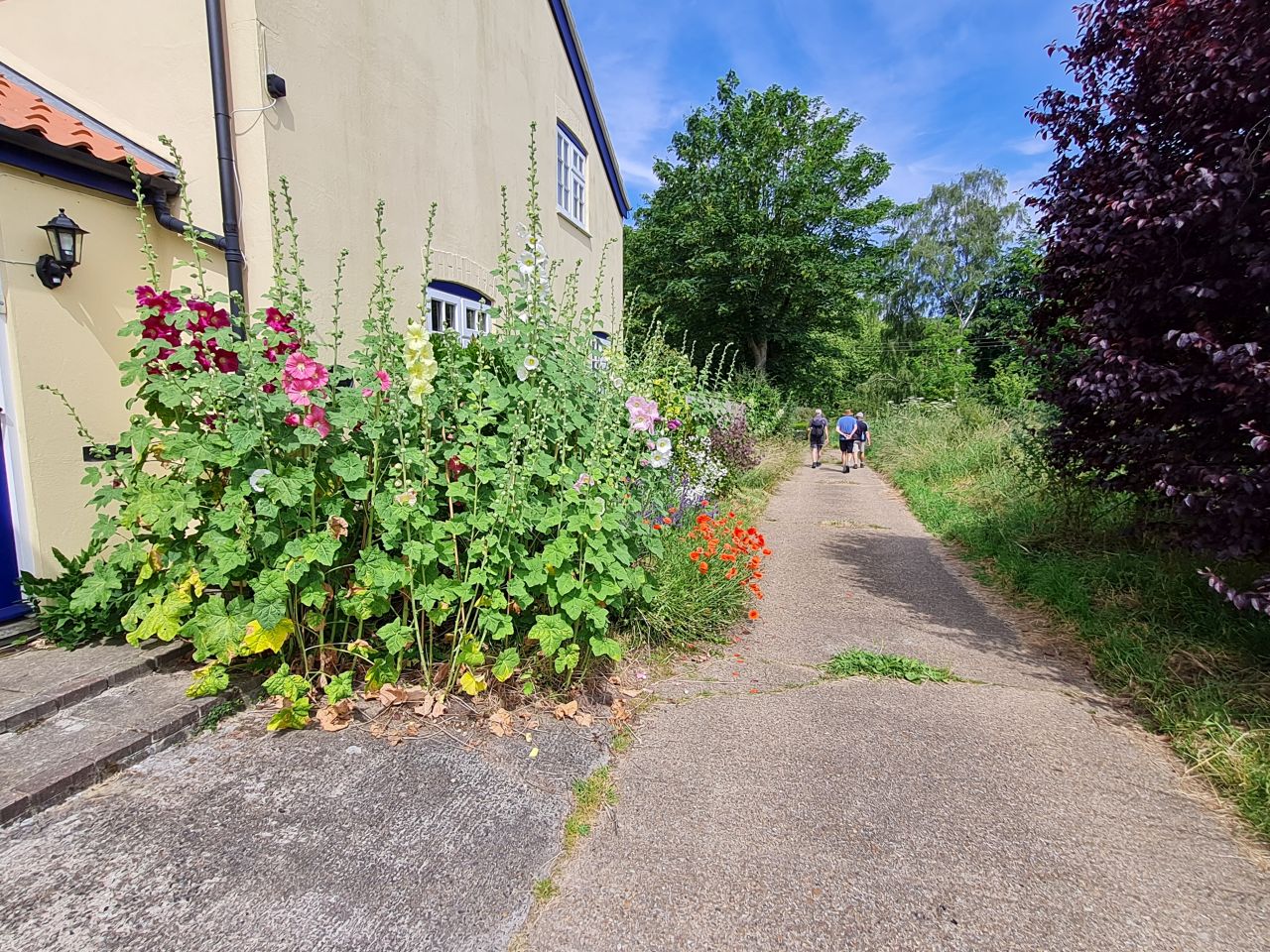 2024-06-27 11 Syleham.jpg