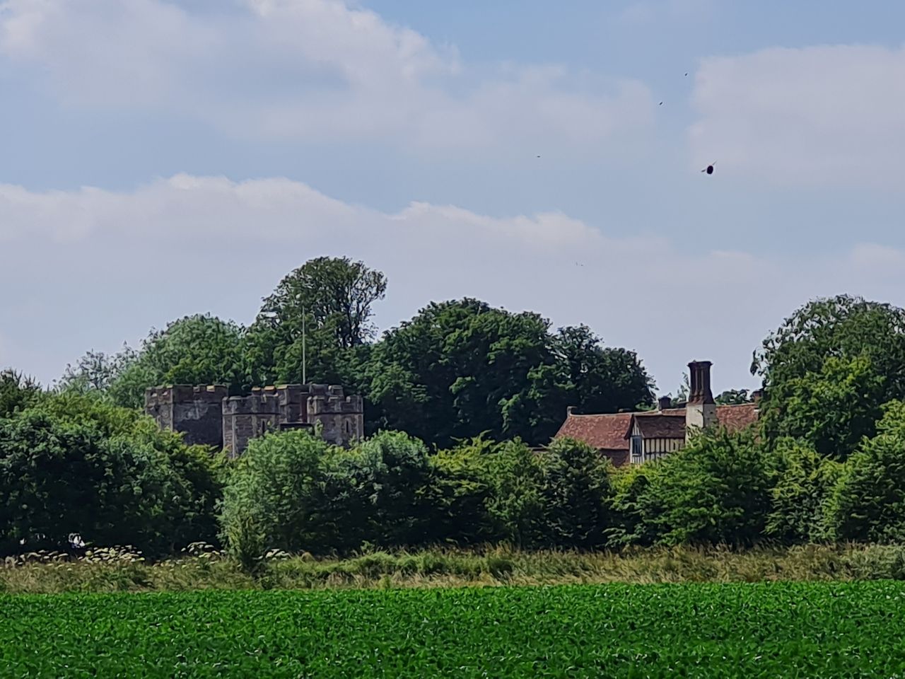 2024-06-27 12 Syleham.jpg