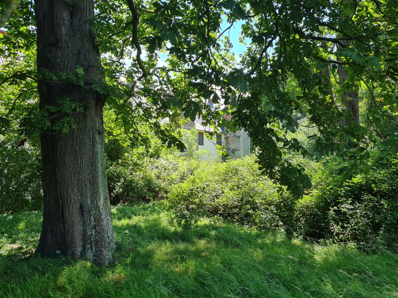 2024-06-27 14 Syleham.jpg