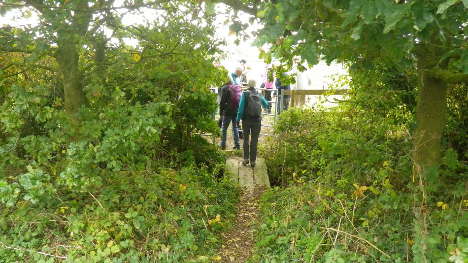 2018-10-17 02 Ilketshall St Andrew Seven Commons.jpg