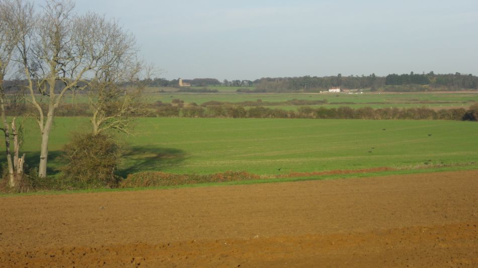 2020-09-14 06 Hemley and Newbourne.jpg