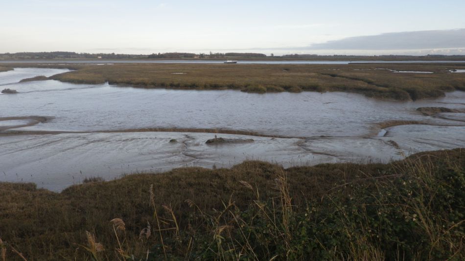 2020-09-14 07 Hemley and Newbourne.jpg