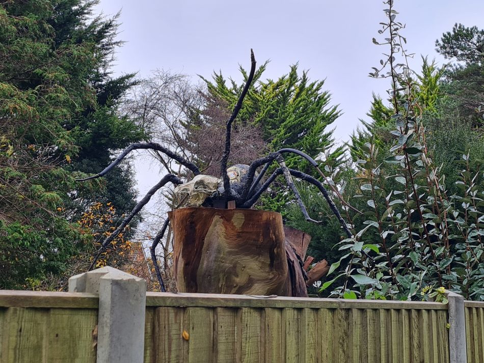 2023-11-26 04 Winterton Seal Walk.jpg