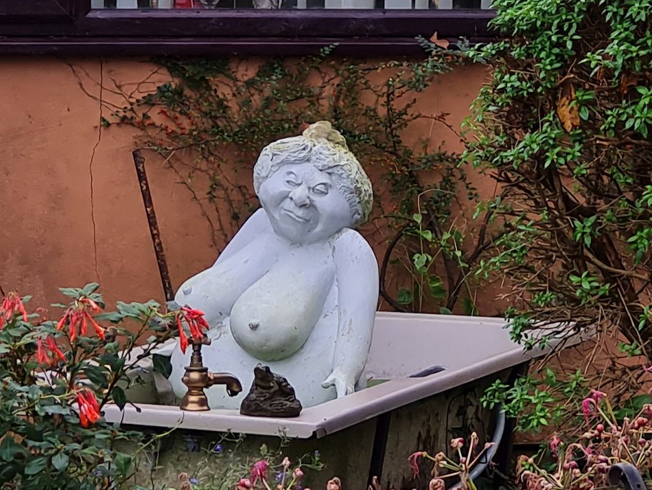 2023-11-26 06 Winterton Seal Walk.jpg