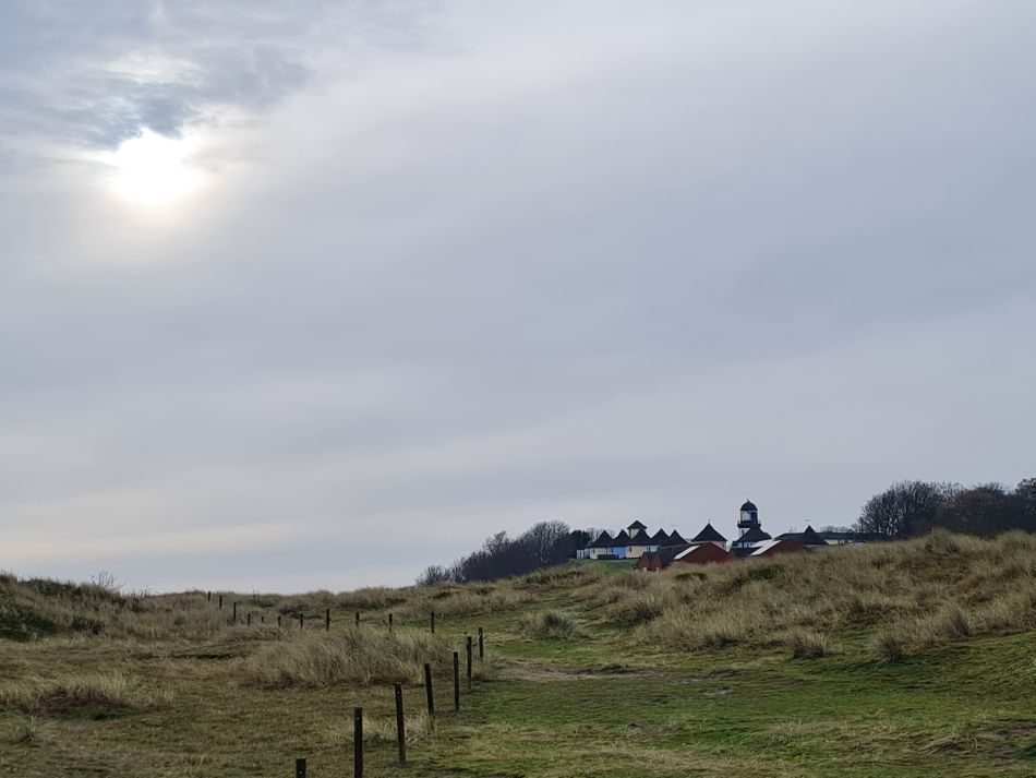 2023-11-26 07 Winterton Seal Walk.jpg