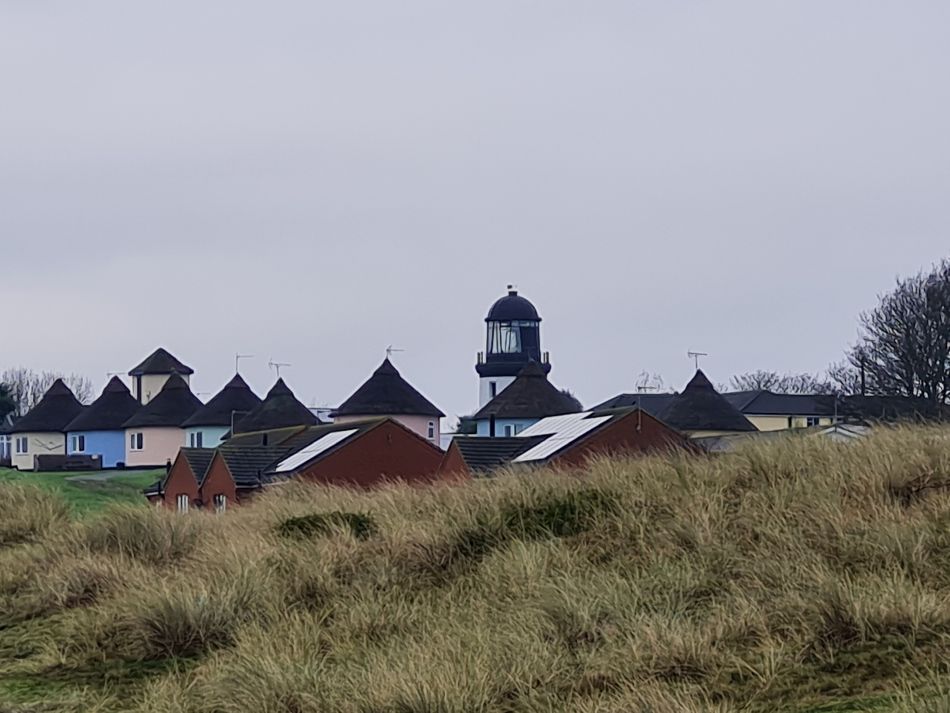 2023-11-26 08 Winterton Seal Walk.jpg