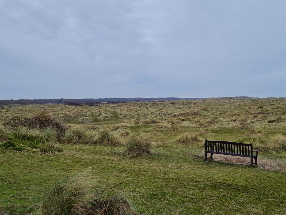 2023-11-26 13 Winterton Seal Walk.jpg