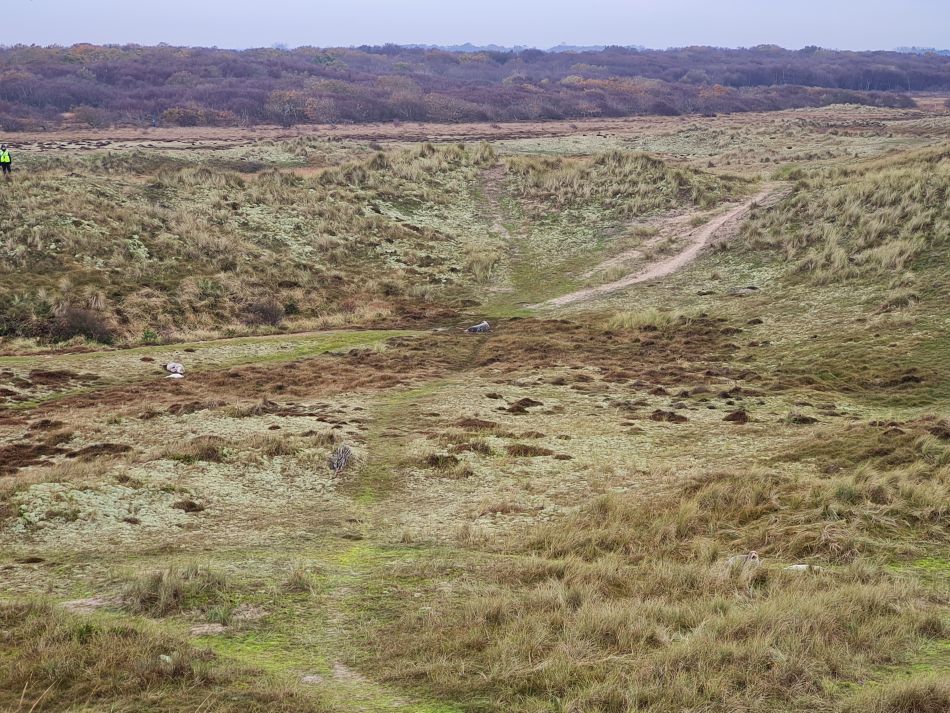 2023-11-26 32 Winterton Seal Walk.jpg