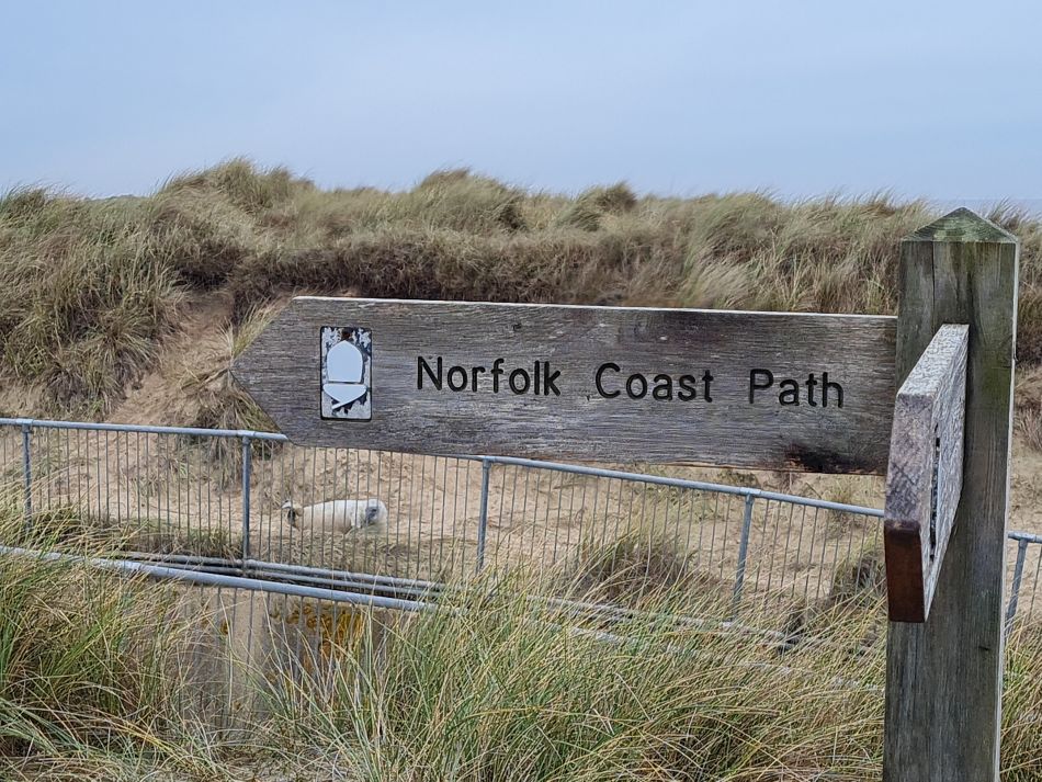 2023-11-26 38 Winterton Seal Walk.jpg