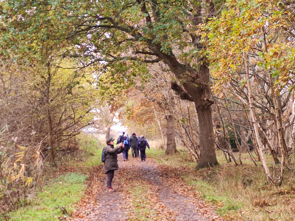 2023-11-26 46 Winterton Seal Walk.jpg