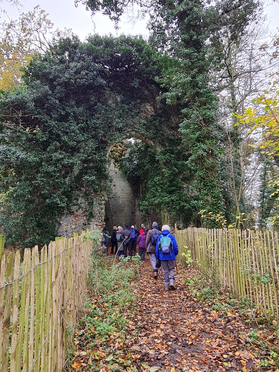 2023-11-26 49 Winterton Seal Walk.jpg