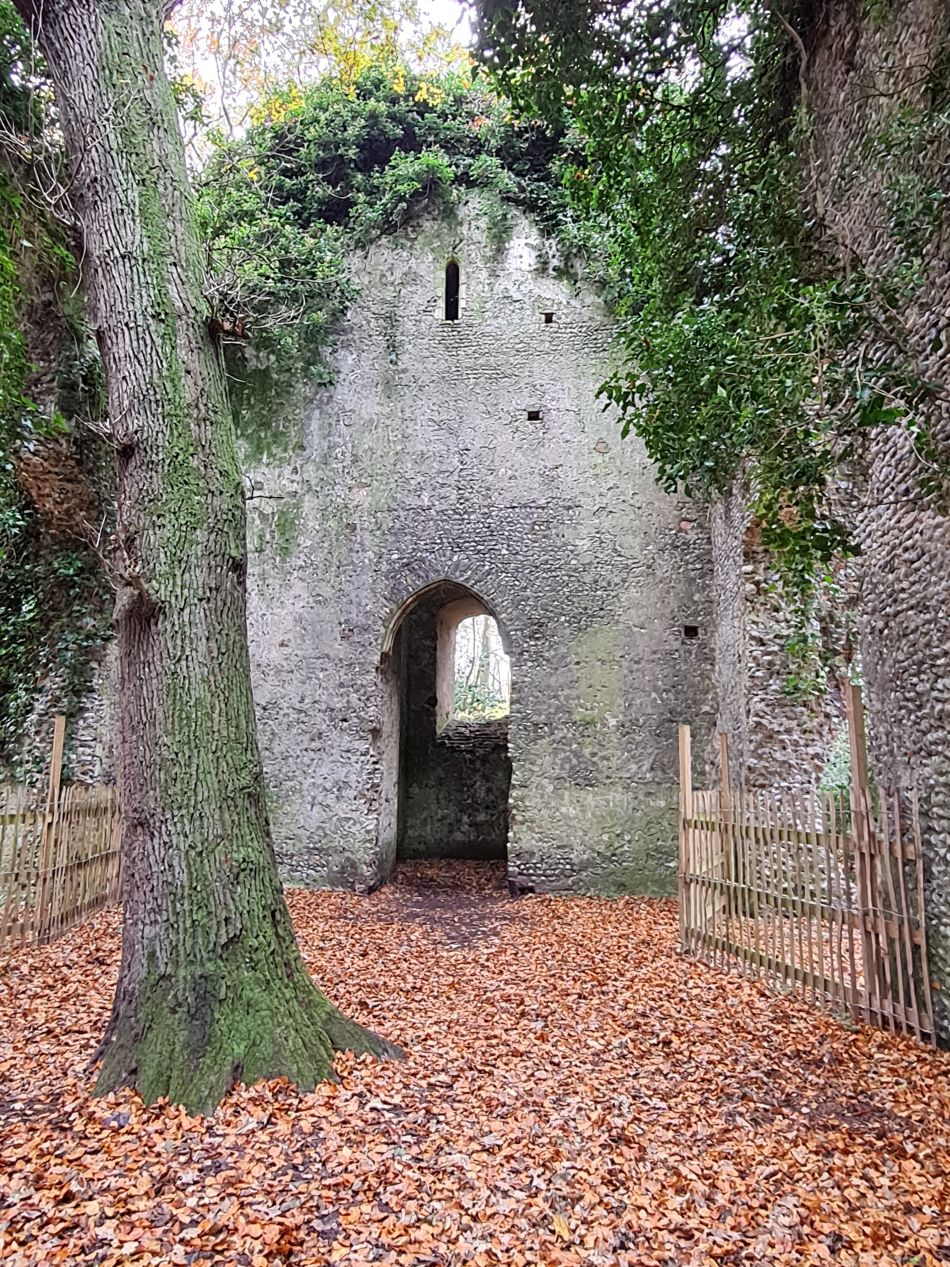 2023-11-26 50 Winterton Seal Walk.jpg