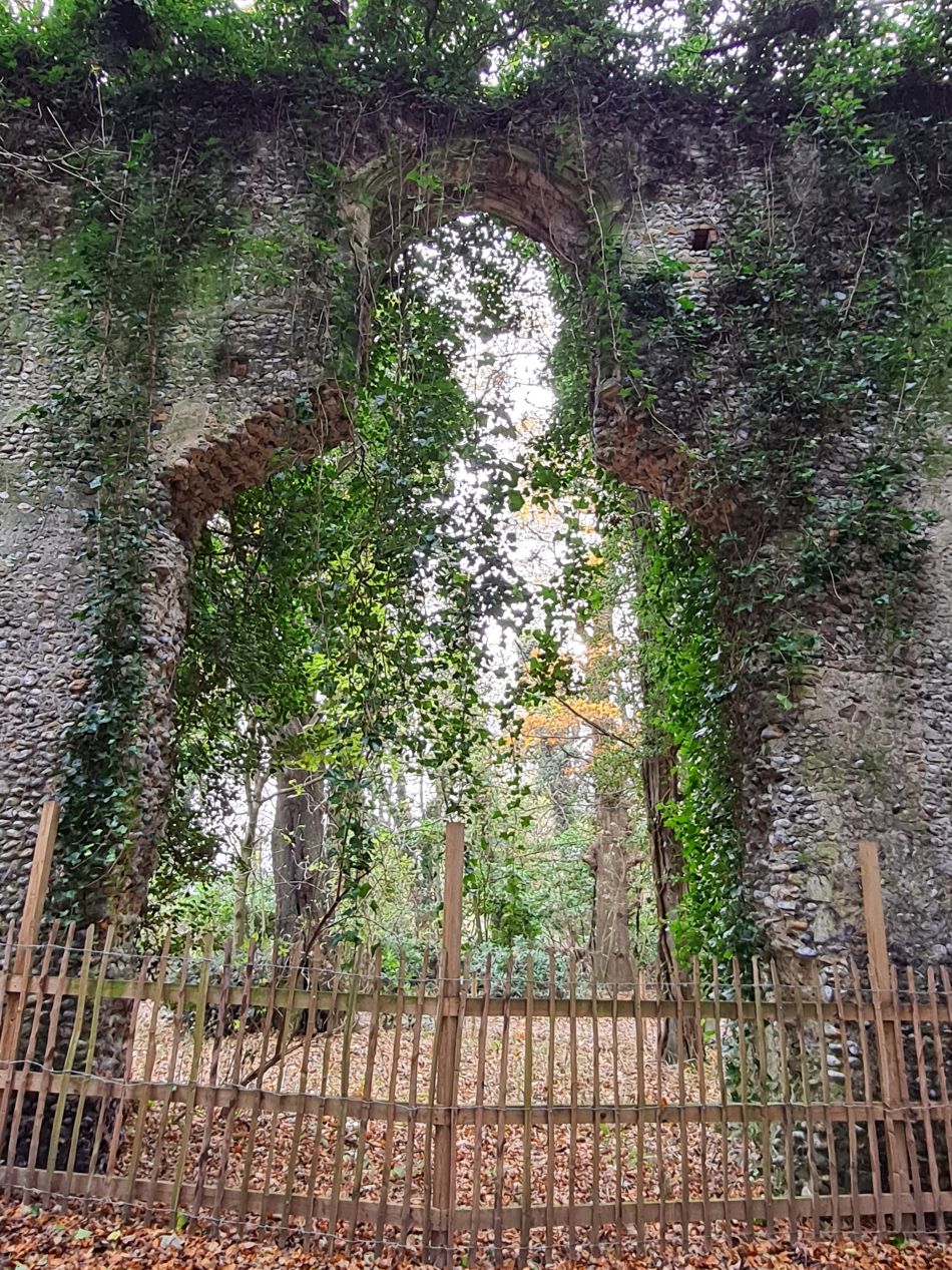 2023-11-26 51 Winterton Seal Walk.jpg