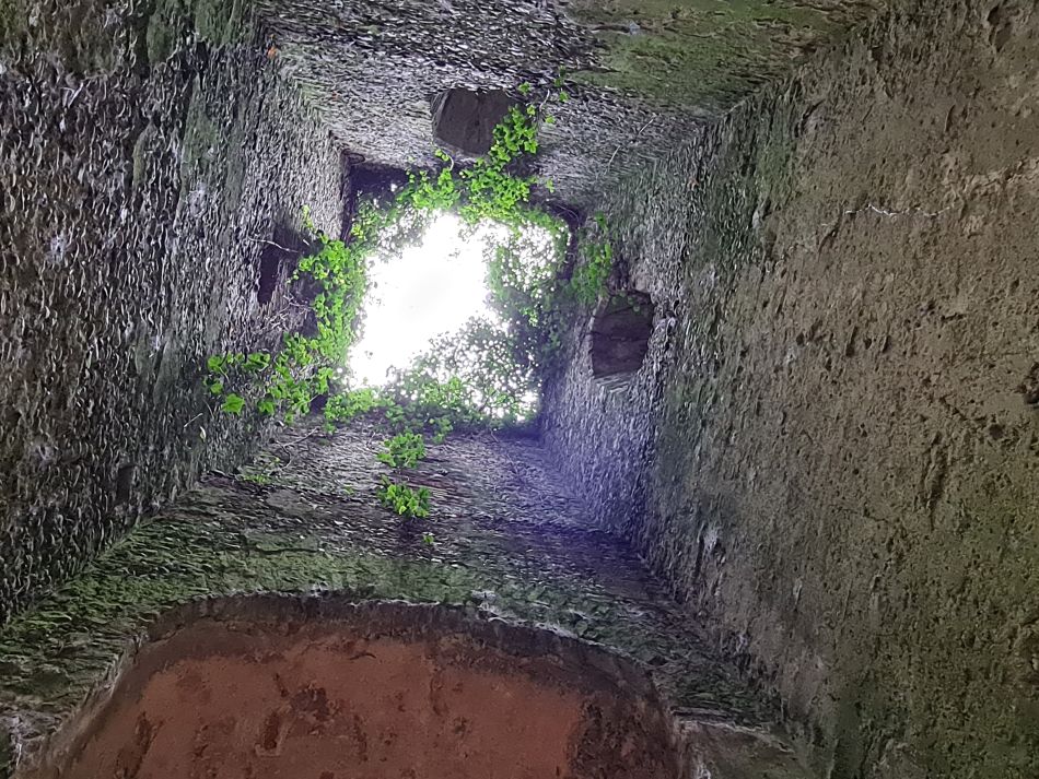 2023-11-26 52 Winterton Seal Walk.jpg