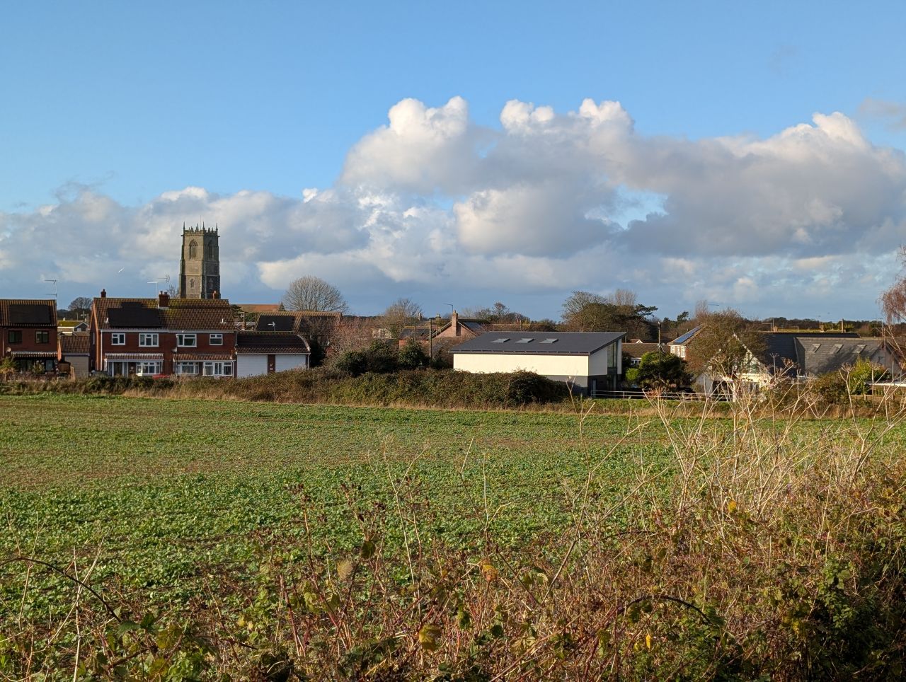 2025-11-23 23 Winterton.jpg