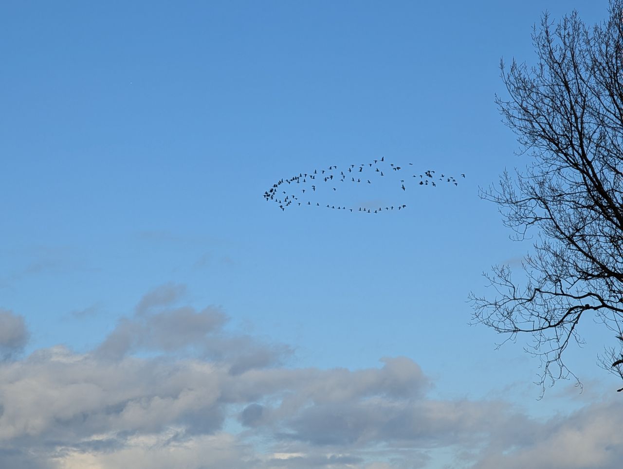 2025-11-23 26 Winterton.jpg