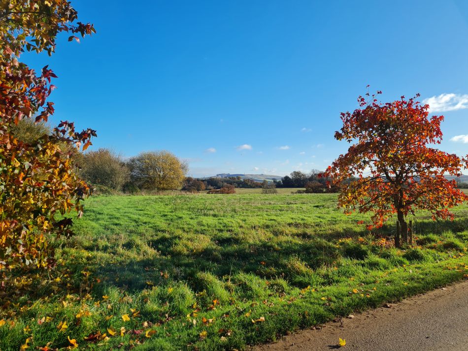 2021-11-21 06 Calne.jpg