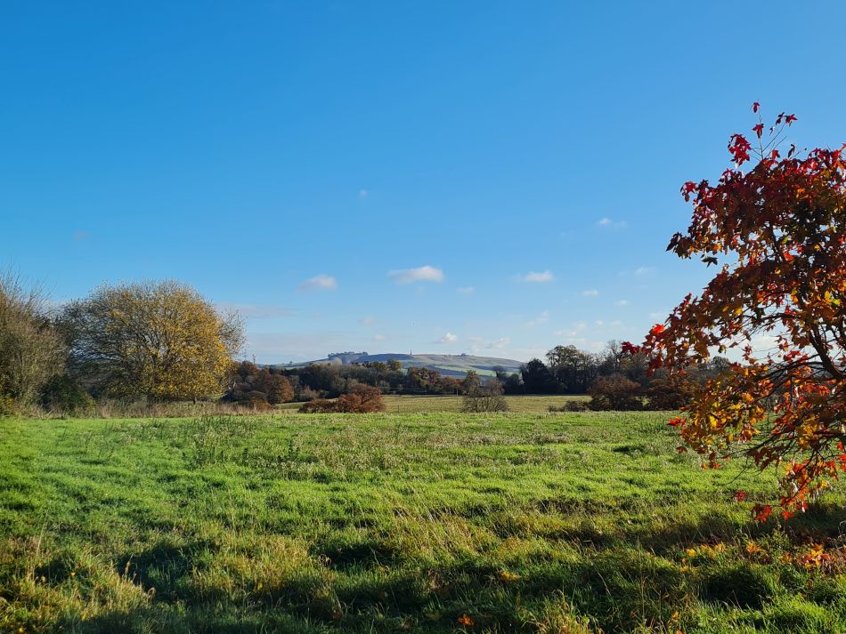 2021-11-21 07 Calne.jpg