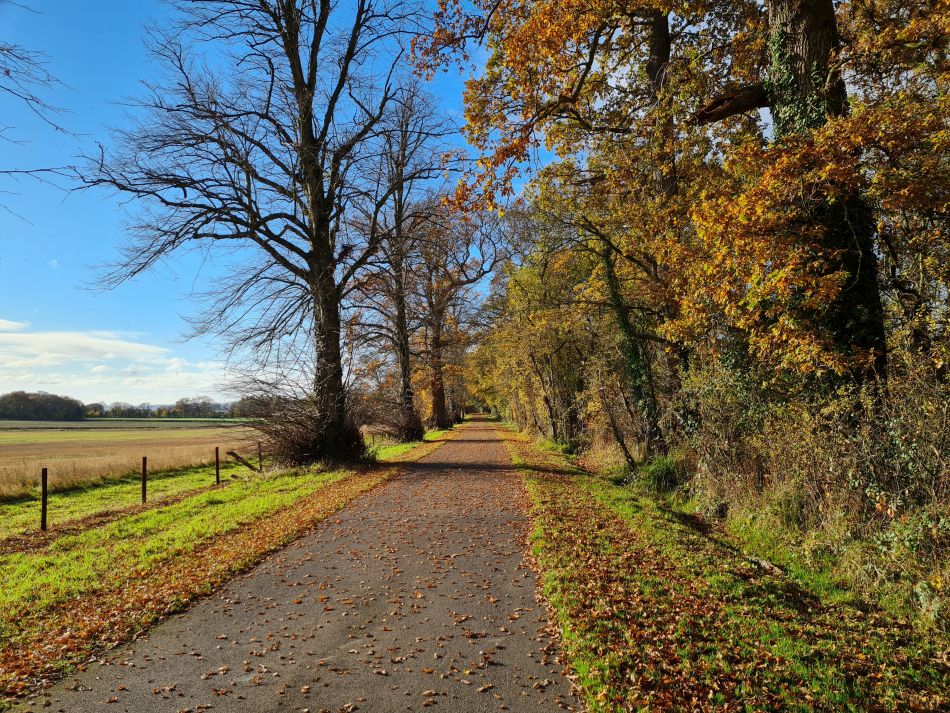 2021-11-21 08 Calne.jpg