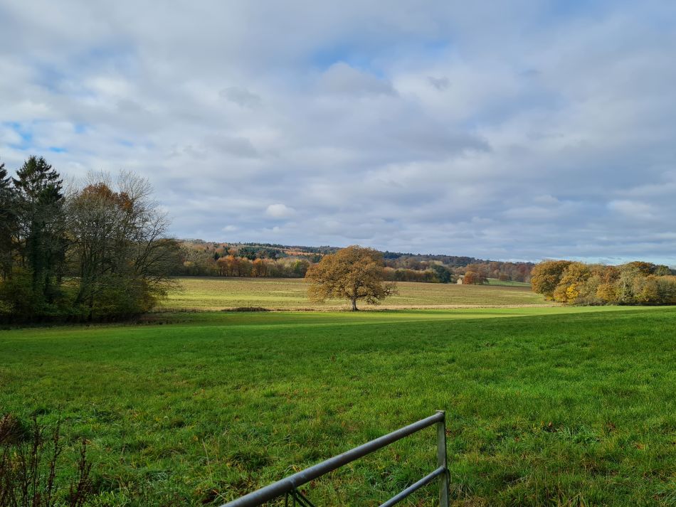 2021-11-21 11 Calne.jpg