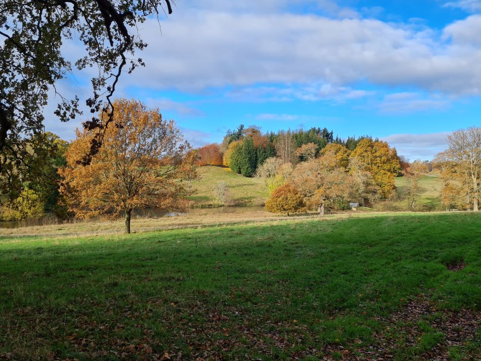 2021-11-21 12 Calne.jpg