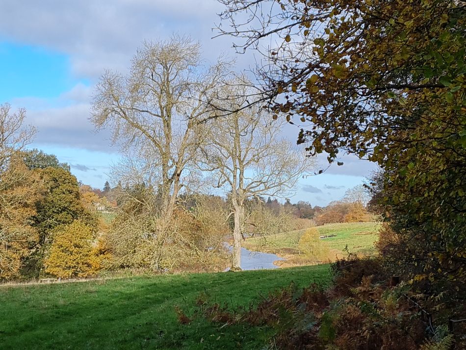 2021-11-21 13 Calne.jpg