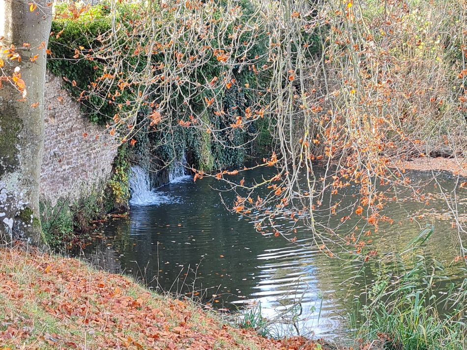 2021-11-21 14 Calne.jpg