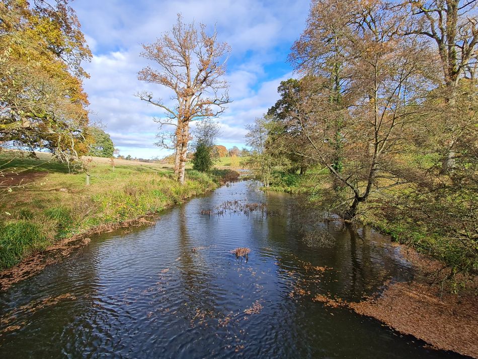 2021-11-21 15 Calne.jpg