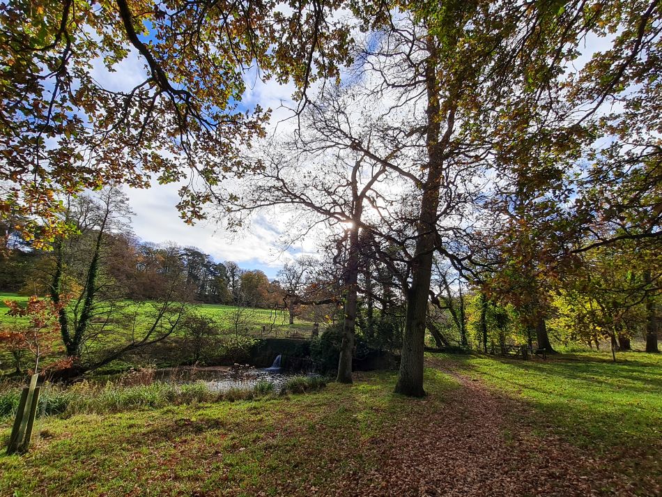 2021-11-21 16 Calne.jpg