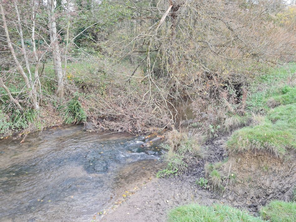 2021-11-21 25 Calne.jpg