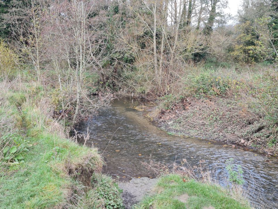 2021-11-21 26 Calne.jpg