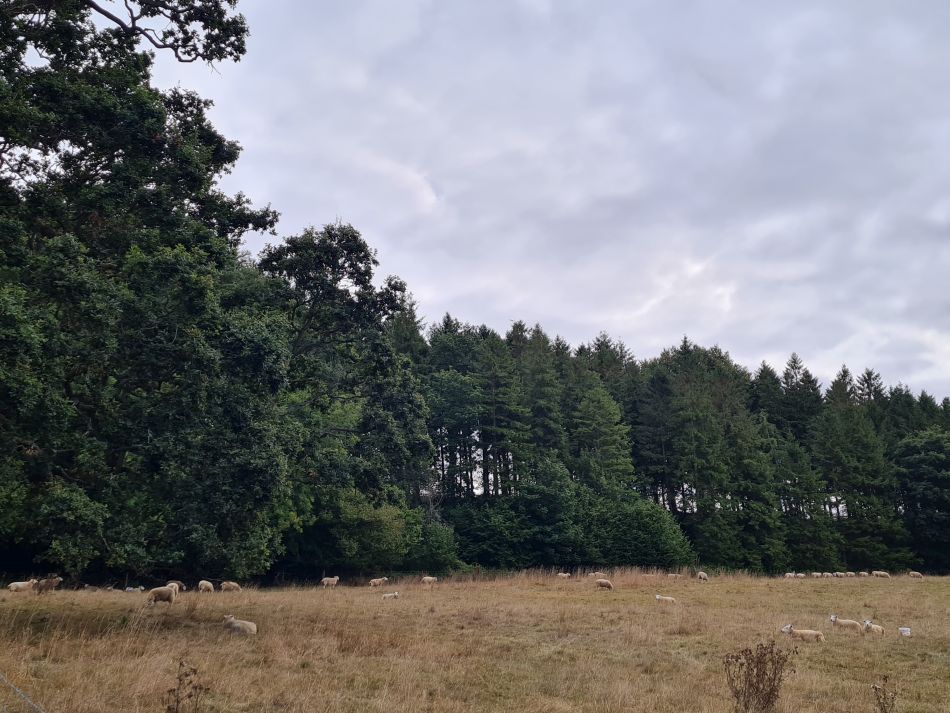 2022-09-18 12 Calne.jpg