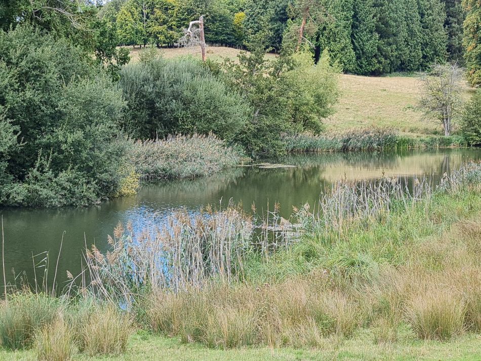 2022-09-18 16 Calne.jpg