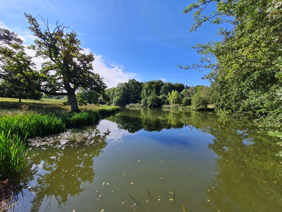 2022-09-18 18 Calne.jpg