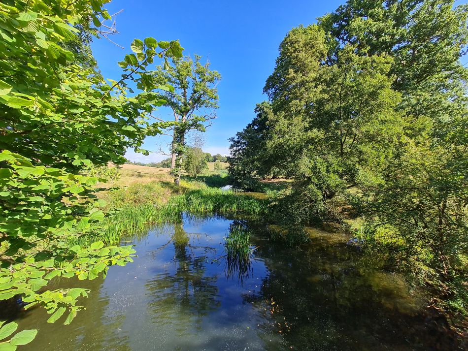 2022-09-18 19 Calne.jpg