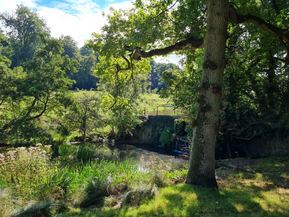 2022-09-18 20 Calne.jpg