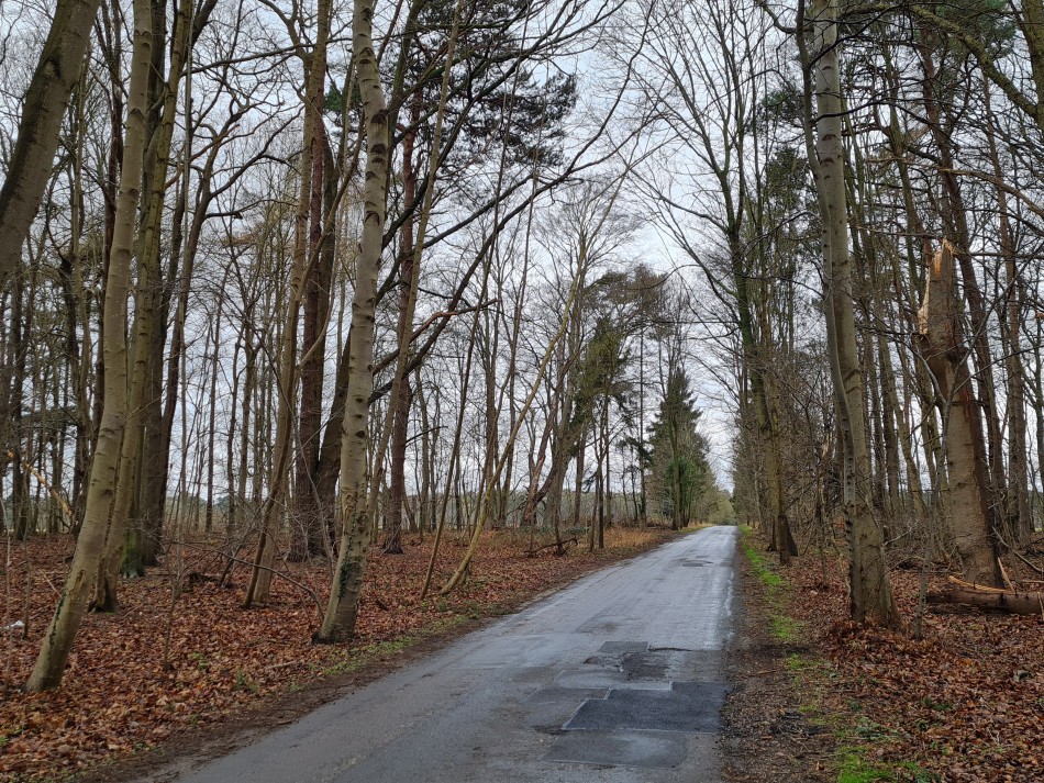 2015-06-05 03 Rushford.jpg