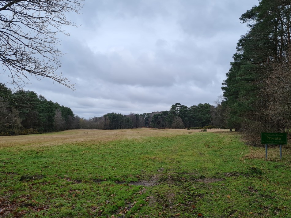 2015-06-05 04 Rushford.jpg