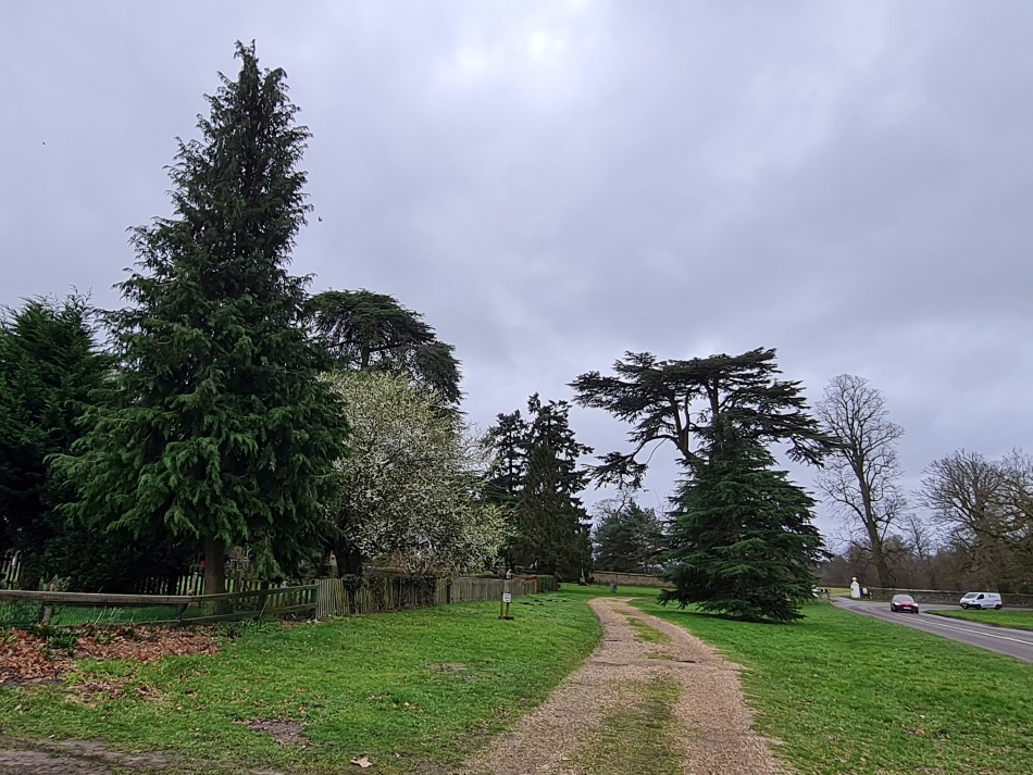 2015-06-05 11 Rushford.jpg