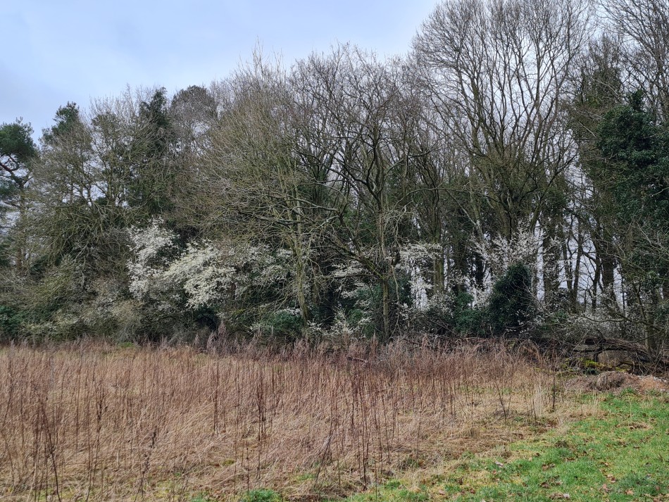 2015-06-05 18 Rushford.jpg