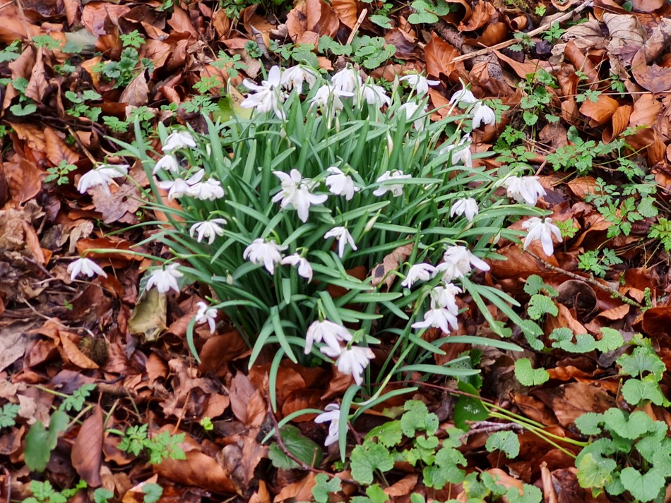 2015-06-05 19 Rushford.jpg